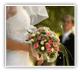 عروس المنتدى