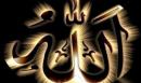الصورة الرمزية منال نيني