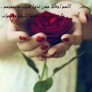 وفاء ندا.