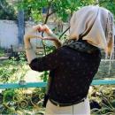 Aya aya Ali