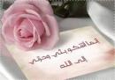 الملكة تي